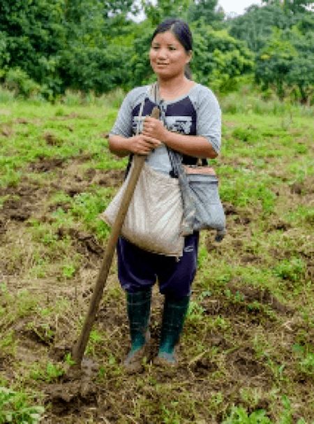 Biochar Paga ready to plant