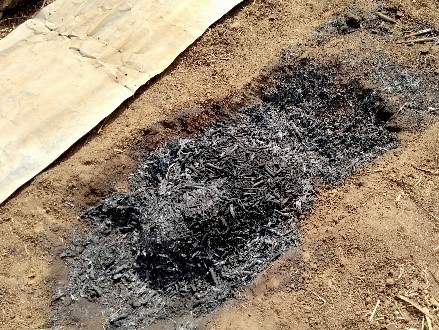 biochar africa